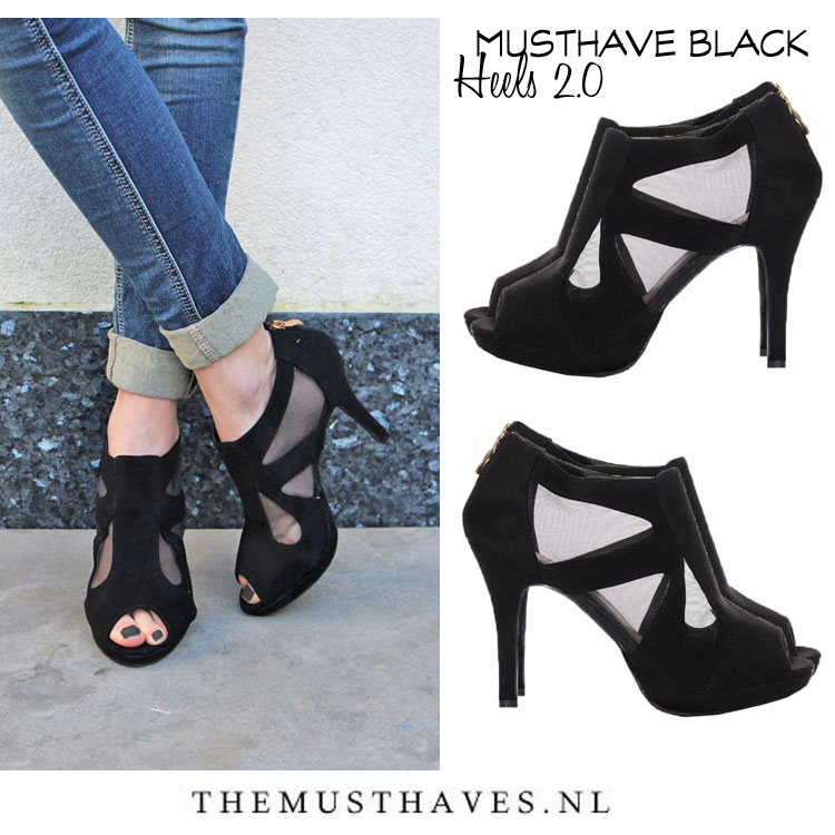 wp-content/uploads/2015/02/Plateau-pumps.jpg